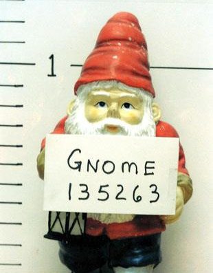 Gnome Computer Workshop