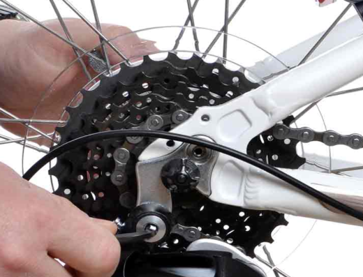 Bikes For The Likes Of Us