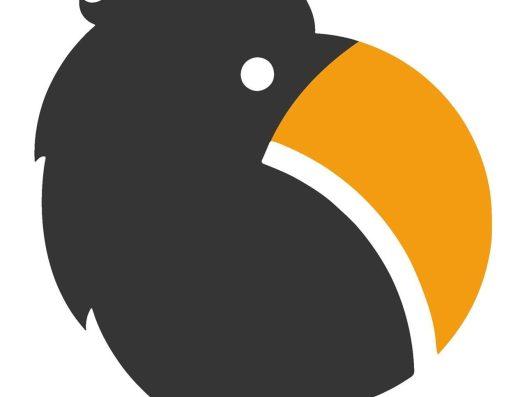 Pelion Technology Solutions