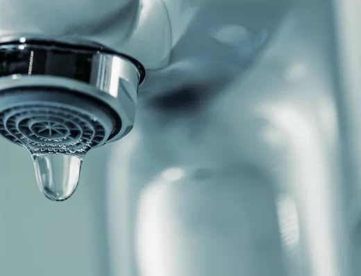 Evergreen Irrigation