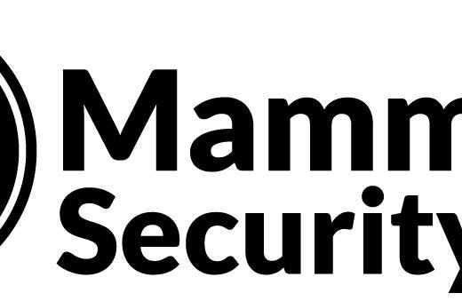 Mammoth Security Inc. New Haven