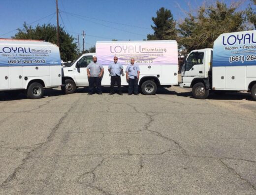 Loyall Plumbing